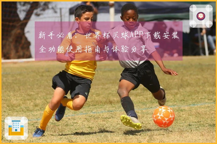新手必看：世界杯买球APP下载安装全功能使用指南与体验分享