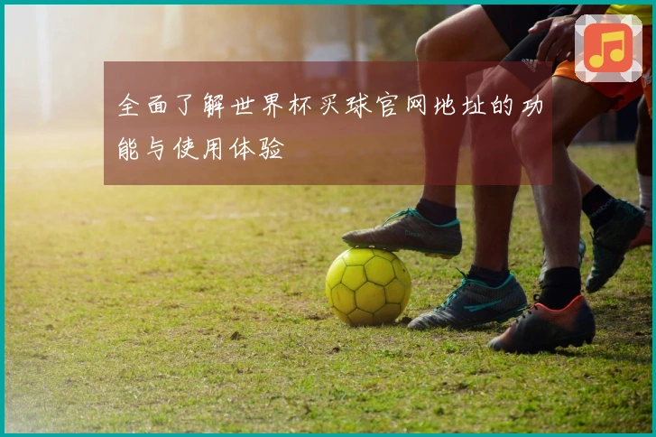 全面了解世界杯买球官网地址的功能与使用体验