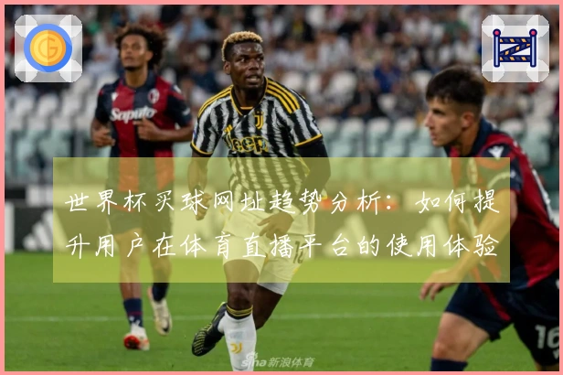 世界杯买球网址趋势分析：如何提升用户在体育直播平台的使用体验