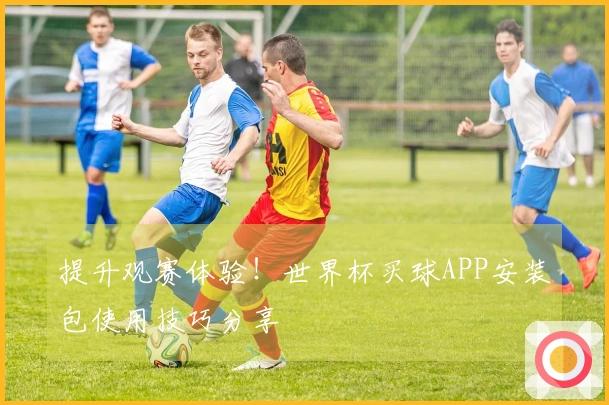 提升观赛体验!世界杯买球APP安装包使用技巧分享