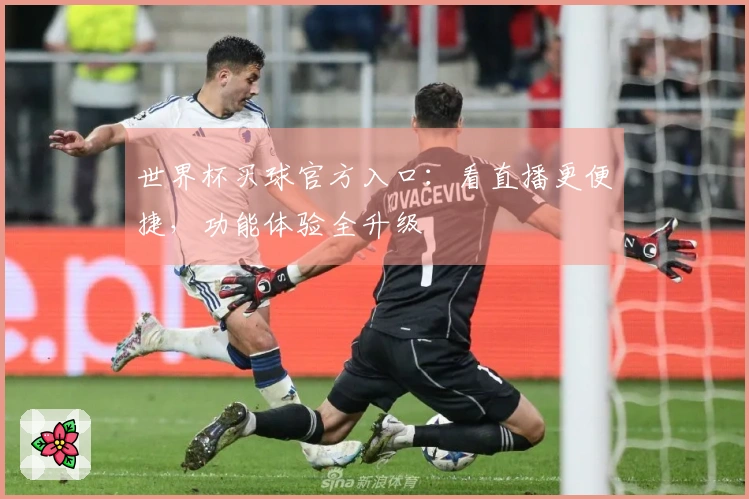 世界杯买球官方入口：看直播更便捷，功能体验全升级