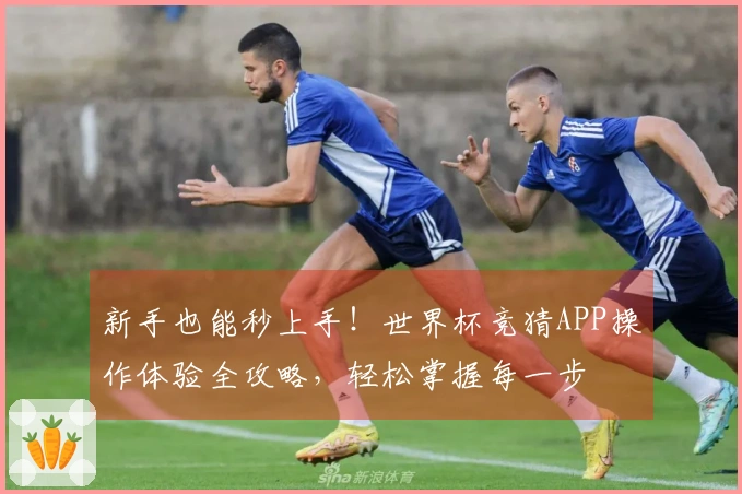 新手也能秒上手！世界杯竞猜APP操作体验全攻略，轻松掌握每一步