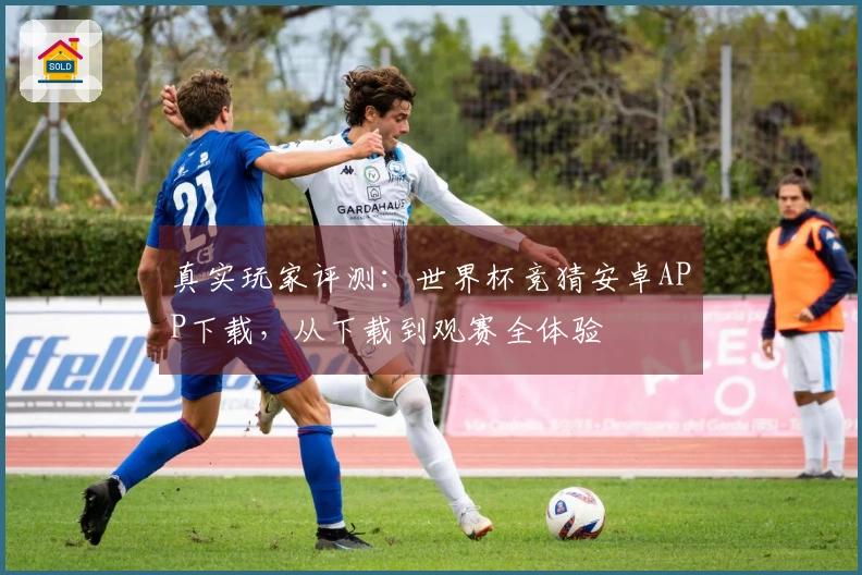 真实玩家评测：世界杯竞猜安卓APP下载，从下载到观赛全体验