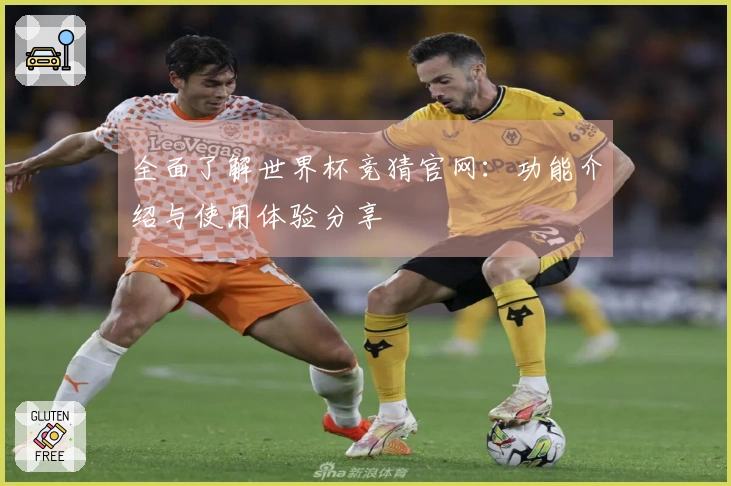 全面了解世界杯竞猜官网：功能介绍与使用体验分享