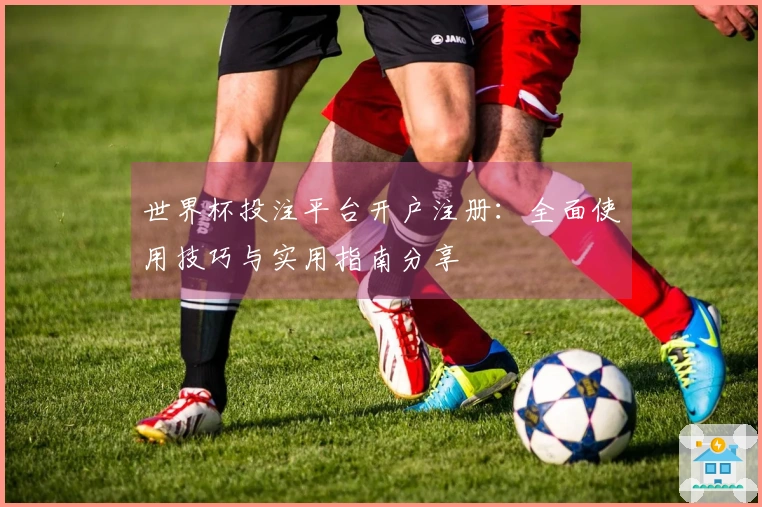世界杯投注平台开户注册：全面使用技巧与实用指南分享