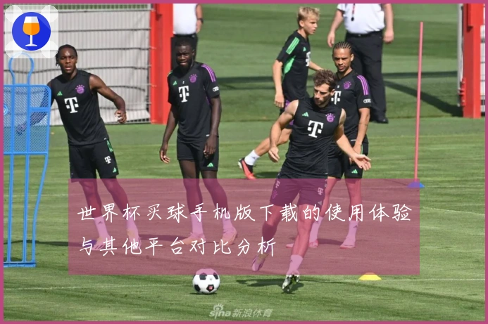 世界杯买球手机版下载的使用体验与其他平台对比分析