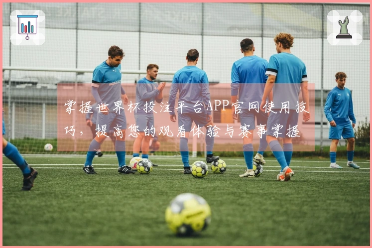 掌握世界杯投注平台APP官网使用技巧，提高您的观看体验与赛事掌握能力