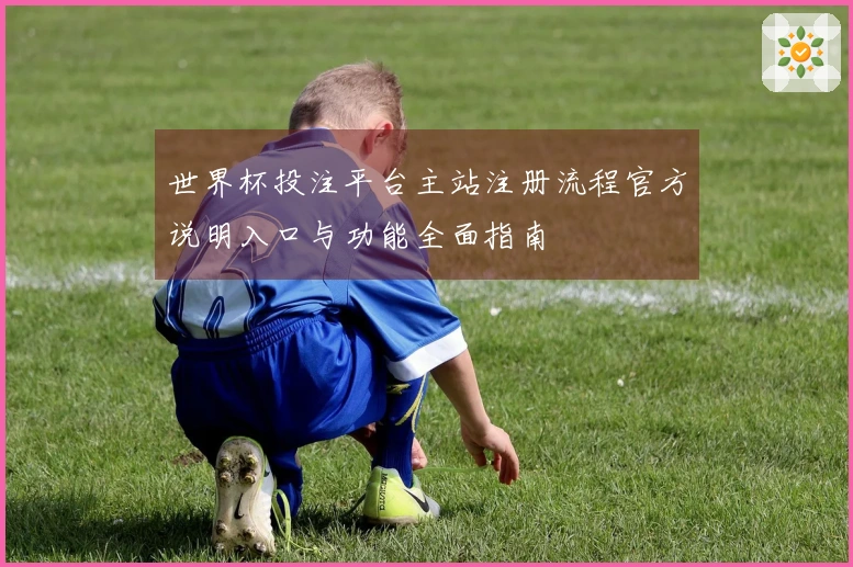 世界杯投注平台主站注册流程官方说明入口与功能全面指南