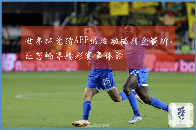 世界杯竞猜APP的活动福利全解析，让您畅享精彩赛事体验