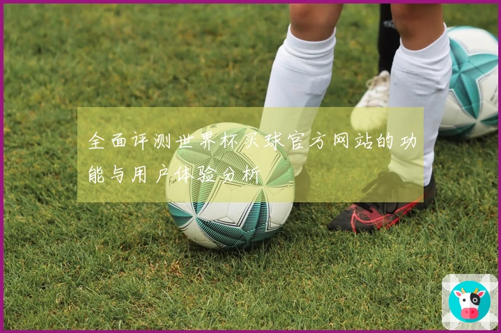 全面评测世界杯买球官方网站的功能与用户体验分析