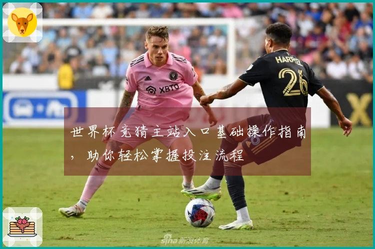 世界杯竞猜主站入口基础操作指南，助你轻松掌握投注流程